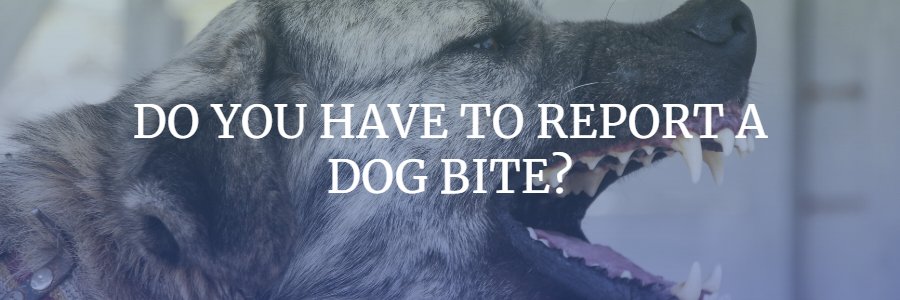 what happens if your dog bites someone in missouri